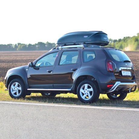 Накладки на двери (молдинги) (4 шт) (ABS) Renault Duster (2012-2020 г.в.) купить недорого с доставкой в Баган